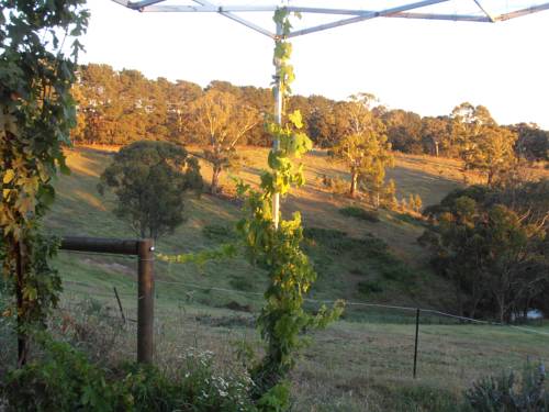 Rydal Australien Last-Minute-Rabattcode Booking.com
