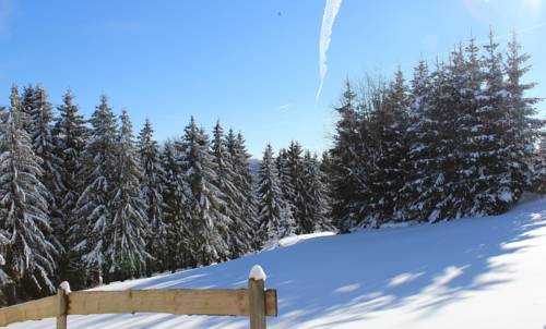 Frauenwald Deutschland Last-Minute-Rabattcode Booking.com