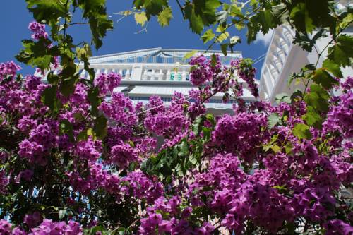 Kukaljevina Montenegro Last Minute Discount Code Booking.com