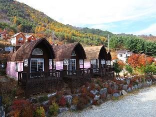 Pyeongchang-gun South Korea Last Minute Discount Code Agoda.com