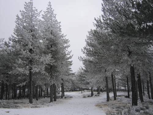 Santa Comba Portugal Last-Minute-Rabattcode Booking.com