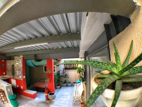 Rio De Janeiro Brazil Last Minute Discount Code Agoda.com