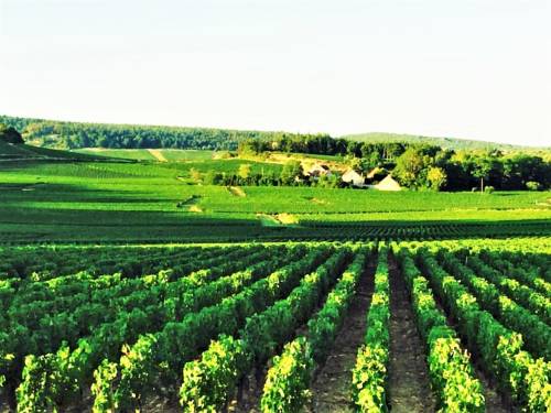 Fontaines France Last Minute Discount Code Booking.com