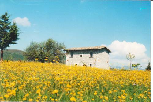 Forlì Del Sannio Italien Last-Minute-Rabattcode Booking.com