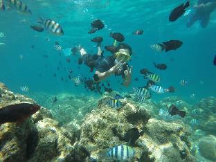 Aceh Indonesia Last Minute Discount Code Agoda.com
