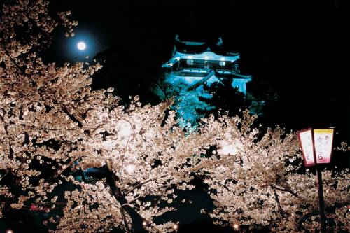 Okazaki Japan Last Minute Discount Code Booking.com