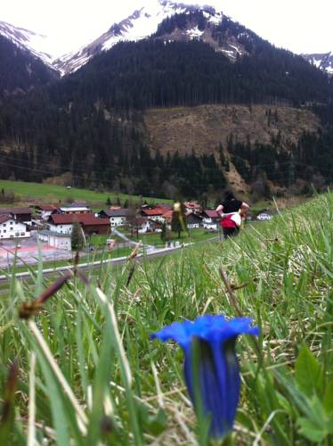 Bichlbach Österreich Last-Minute-Rabattcode Booking.com
