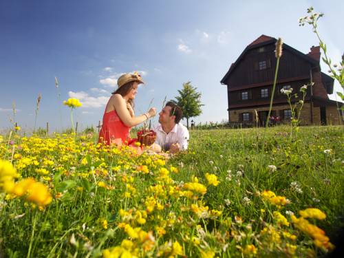 Hraščina Croatia Last Minute Discount Code Booking.com