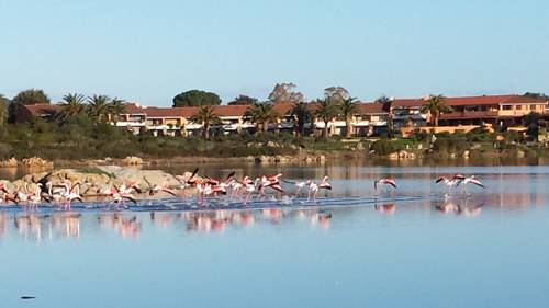 Capo Coda Cavallo Italy Last Minute Discount Code Booking.com