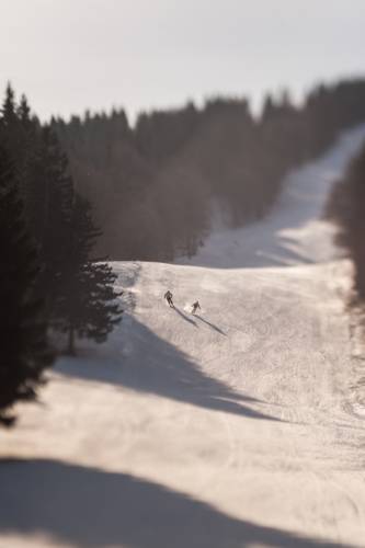 Spodnja Sorica Slovenia Last Minute Discount Code Booking.com