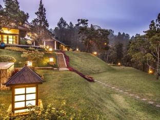 Puncak Indonesia Last Minute Discount Code Agoda.com