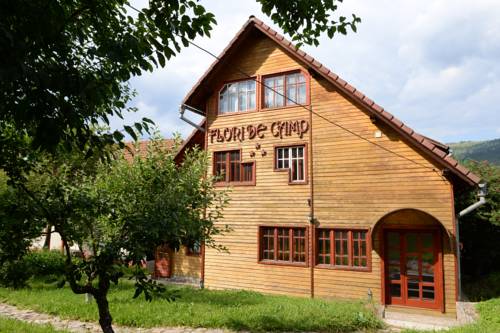Vatra Dornei Romania Last Minute Discount Code Booking.com