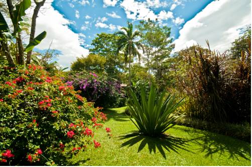 Alajuela Costa Rica Last-Minute-Rabattcode Booking.com