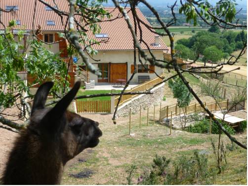 Saint-André-d'Apchon Frankreich Last-Minute-Rabattcode Booking.com