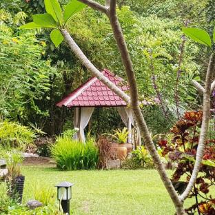 Bukit Lawang Indonesia Last Minute Discount Code Agoda.com