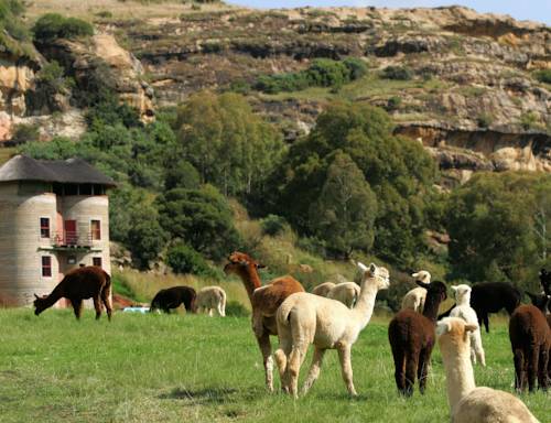 Fouriesburg South Africa Last Minute Discount Code Booking.com