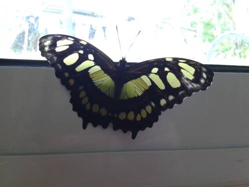 Manuel Antonio Costa Rica Last Minute Discount Code Booking.com