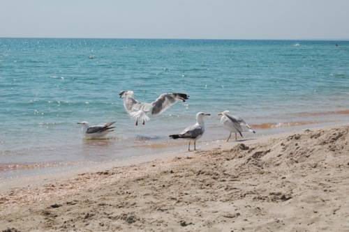 Popovka Crimea Last Minute Discount Code Booking.com