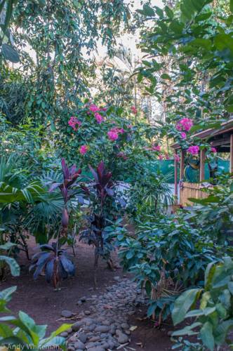 Tamarindo Costa Rica Last Minute Discount Code Booking.com