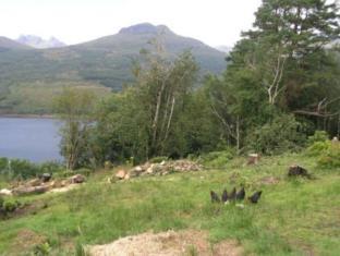Arrochar United Kingdom Last Minute Discount Code Agoda.com