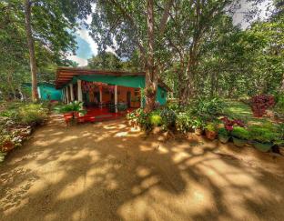 Sigiriya Sri Lanka Last Minute Discount Code Agoda.com