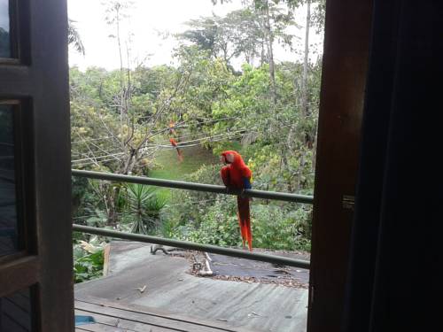 Manuel Antonio Costa Rica Last-Minute-Rabattcode Booking.com