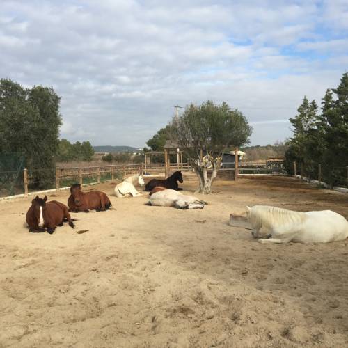 Vilafranca del Penedès Spain Last Minute Discount Code Booking.com