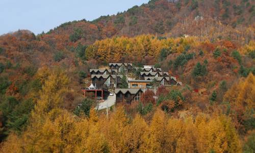 Pyeongchang South Korea Last Minute Discount Code Booking.com
