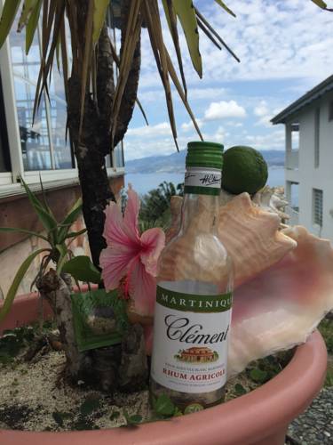 Anse D'Arlet Martinique Last-Minute-Rabattcode Booking.com