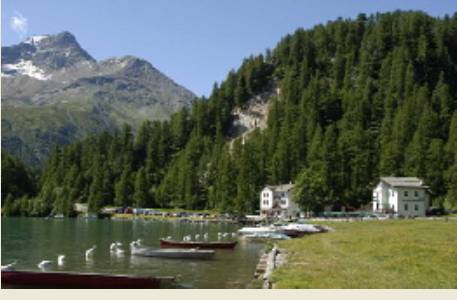 Plaun da Lej Switzerland Last Minute Discount Code Booking.com