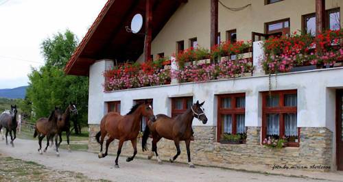 Brzotin Slovakia Last Minute Discount Code Booking.com