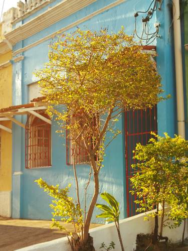 Salvador (Bahia) Brasilien Last-Minute-Rabattcode Booking.com