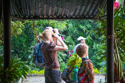 Chitwan Nepal Last-Minute-Rabattcode Booking.com