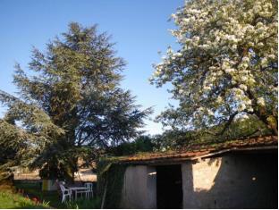 Fuisse France Last Minute Discount Code Agoda.com
