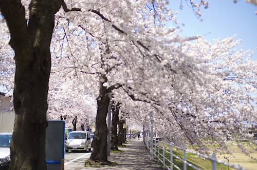 Tendo Japon Code de réduction de dernière minute Booking.com