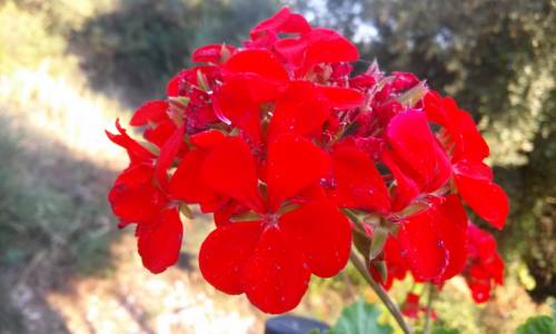 Mikros Gialos Greece Last Minute Discount Code Booking.com