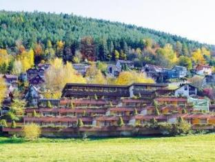 Bad Wildbad Germany Last Minute Discount Code Agoda.com