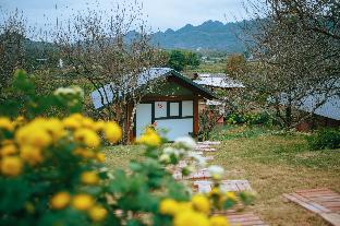 Moc Chau Vietnam Last Minute Discount Code Agoda.com