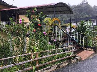 Cameron Highlands Malaysia Last Minute Discount Code Agoda.com