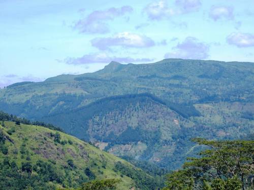 Dambulla Sri Lanka Last-Minute-Rabattcode Booking.com