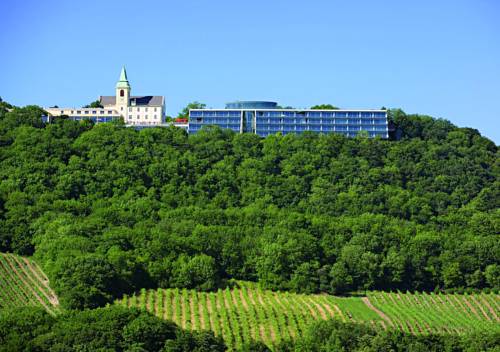 Viena Austria Último Minuto Código de Descuento Booking.com