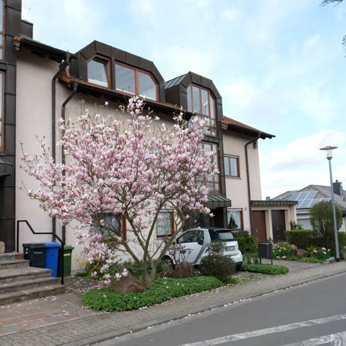 Wachenheim an der Weinstraße Germany Last Minute Discount Code Booking.com
