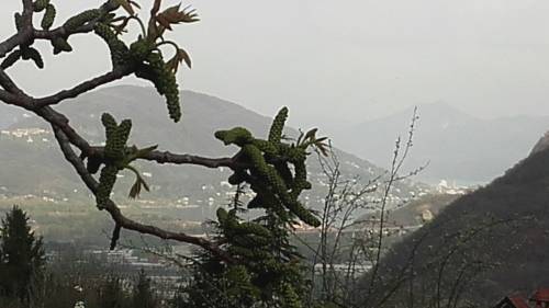 Casale Corte Cerro Italië Laatste minuut Kortingscode Booking.com