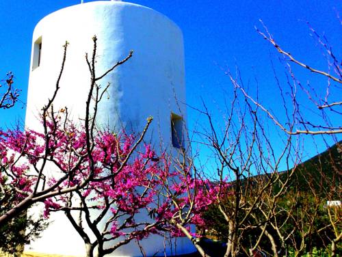 Apollonia Greece Last Minute Discount Code Booking.com
