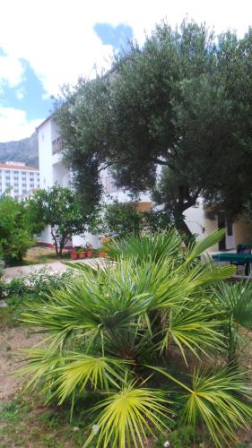 Gradac Croatia Last Minute Discount Code Agoda.com