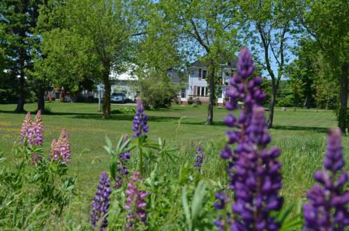 Kensington (Prince Edward Island) Canada Last Minute Discount Code Booking.com
