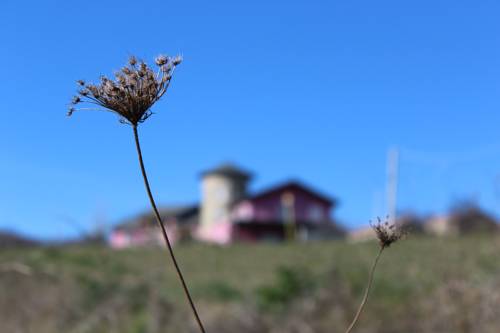 Acerenza Italy Last Minute Discount Code Booking.com