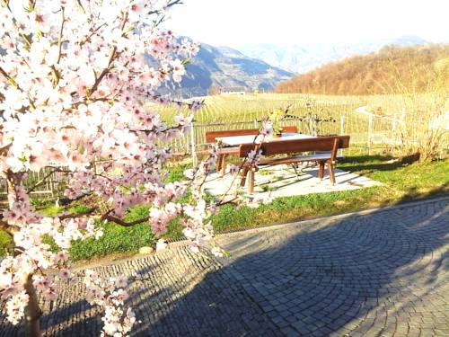 Cornaiano (Girlan) Italien Last-Minute-Rabattcode Booking.com