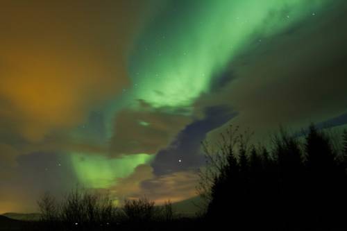 Selfoss Iceland Last Minute Discount Code Booking.com