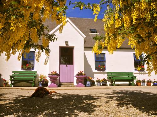Tulla Ireland Last Minute Discount Code Booking.com